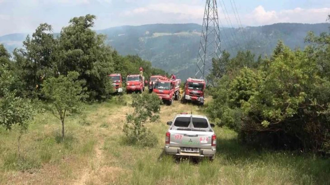 Bursa'da orman yangını