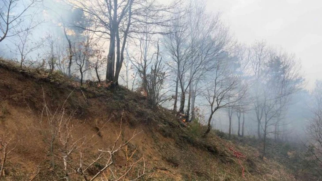 Bursa Dağyenice'de orman yangını