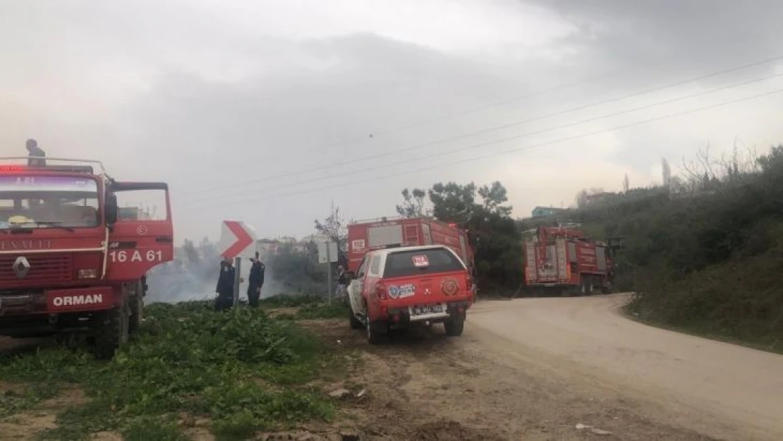 Bursa Gemlik'teki orman yangını kontrol altında