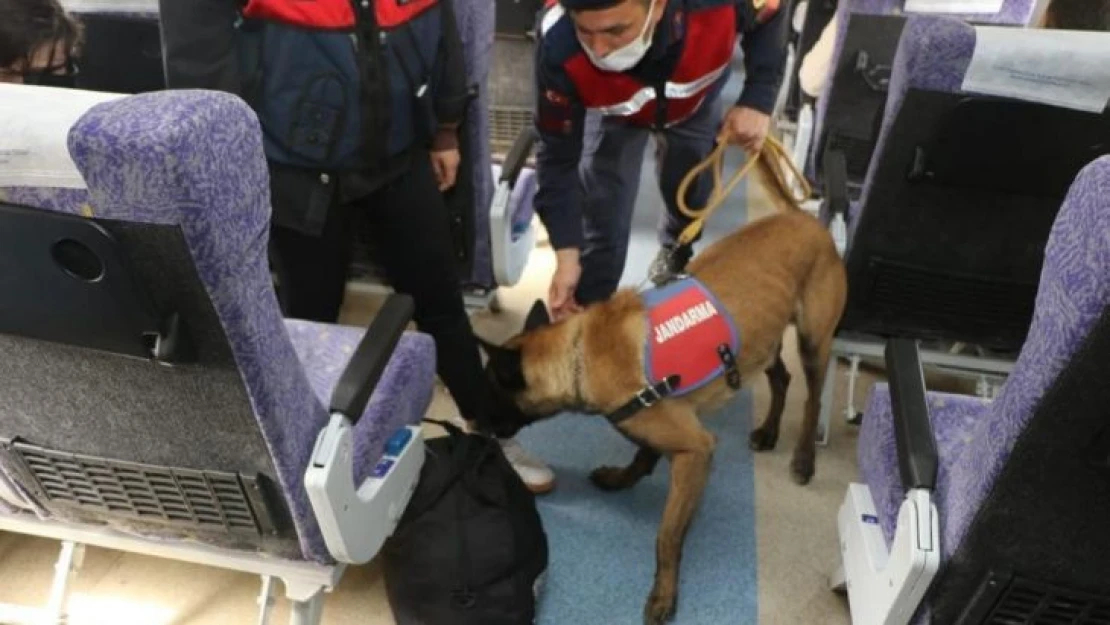 Bursa jandarmasından trende köpekli denetim