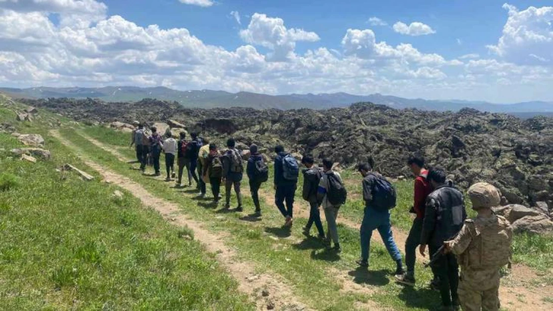 Çaldıran'da 15 düzensiz göçmen yakalandı