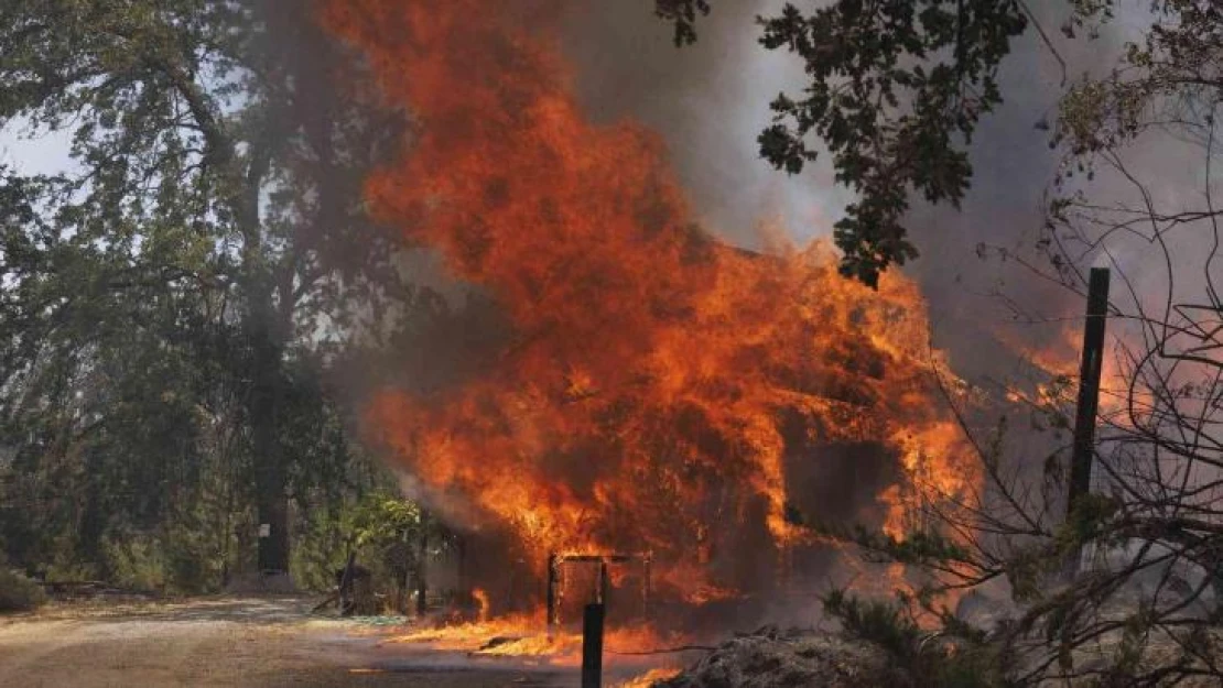 California'da orman yangını nedeniyle acil durum ilan edildi