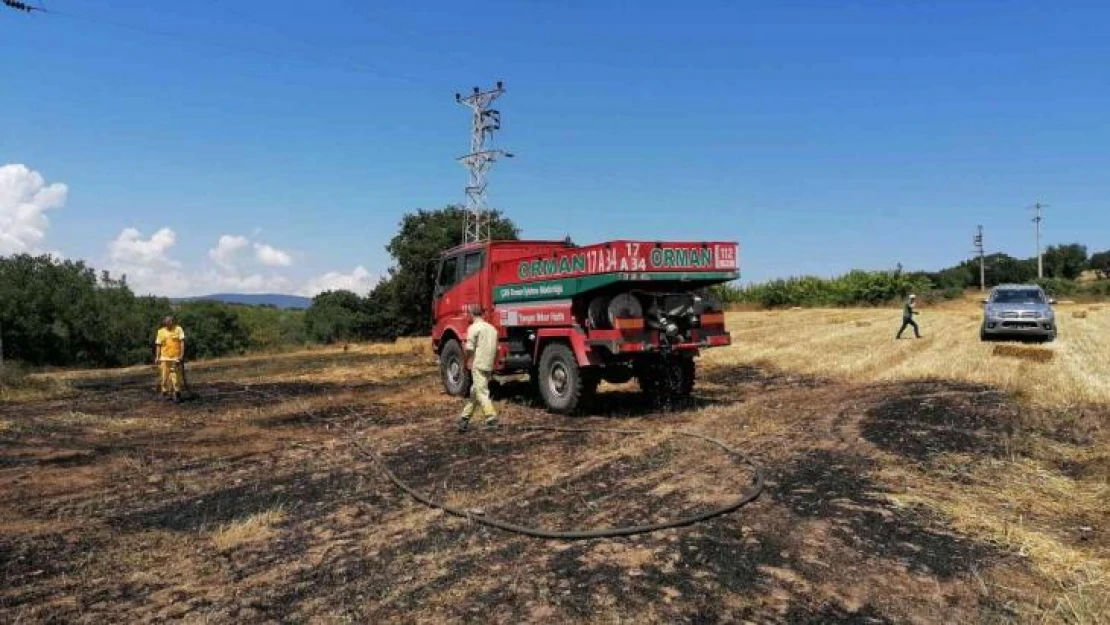 Çan'da anız yangını