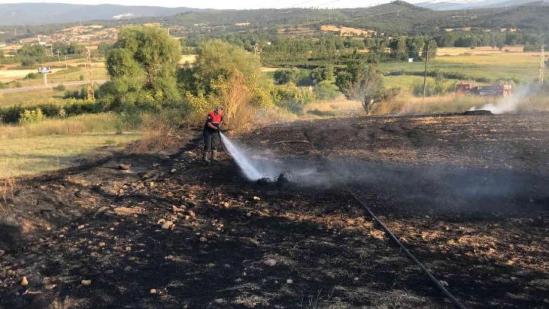 Çanakkale'de anız yangını