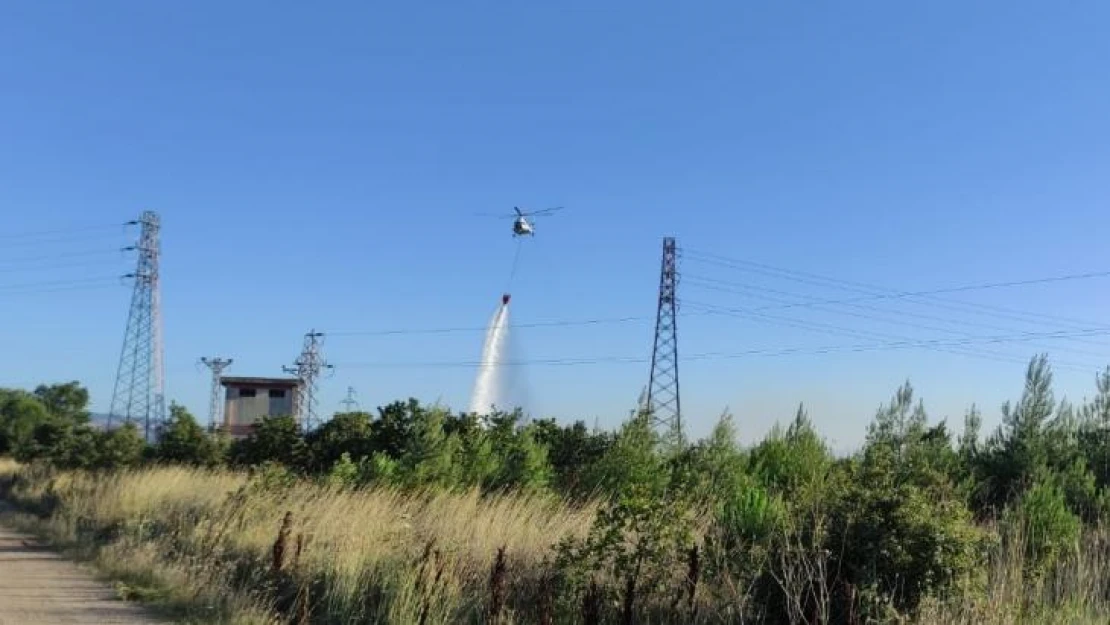 Çanakkale'de çıkan orman yangınına müdahale sürüyor