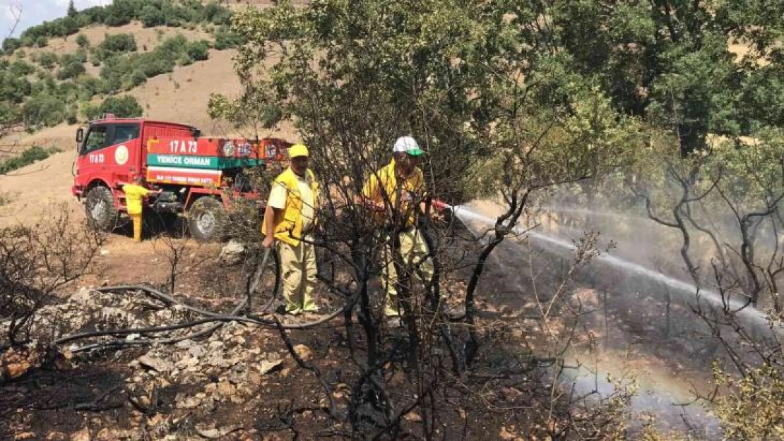 Çanakkale'de çıkan yangın ormanlık alana sıçramadan söndürüldü