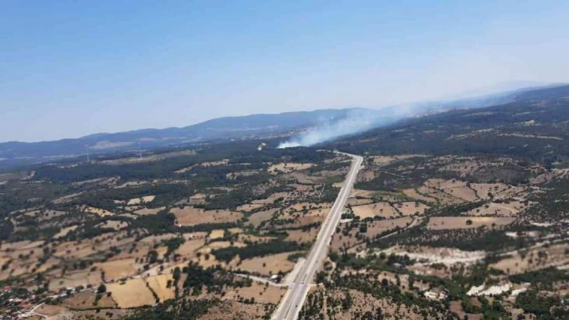 Çanakkale'de kaza yapan araç orman yangınına neden oldu