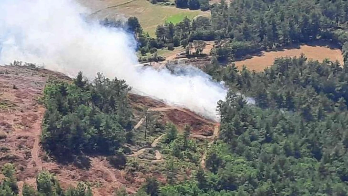 Çanakkale'de orman yangını