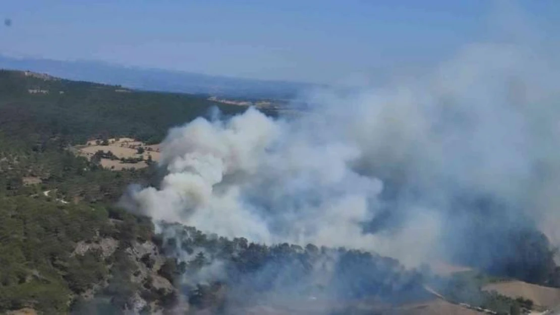 Çanakkale'de orman yangını