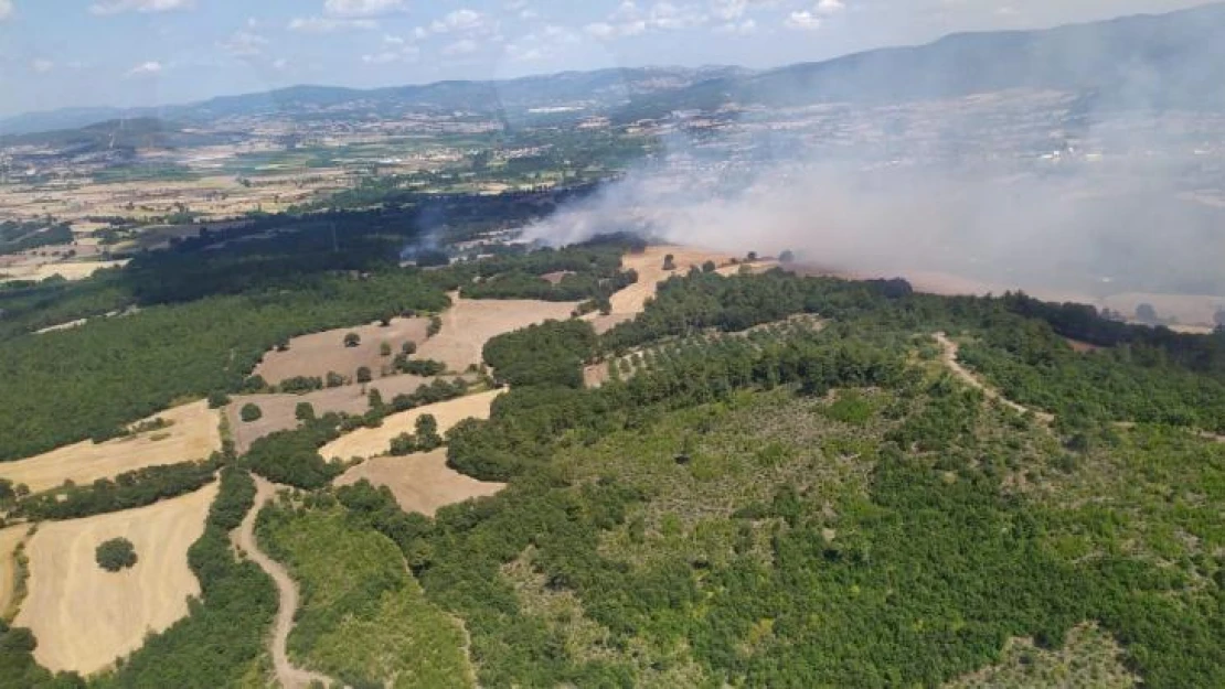 Çanakkale'de orman yangını