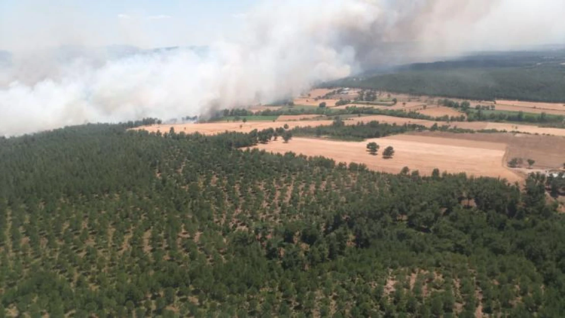 Çanakkale'de ormanlık alana sıçrayan yangın kontrol altına alındı