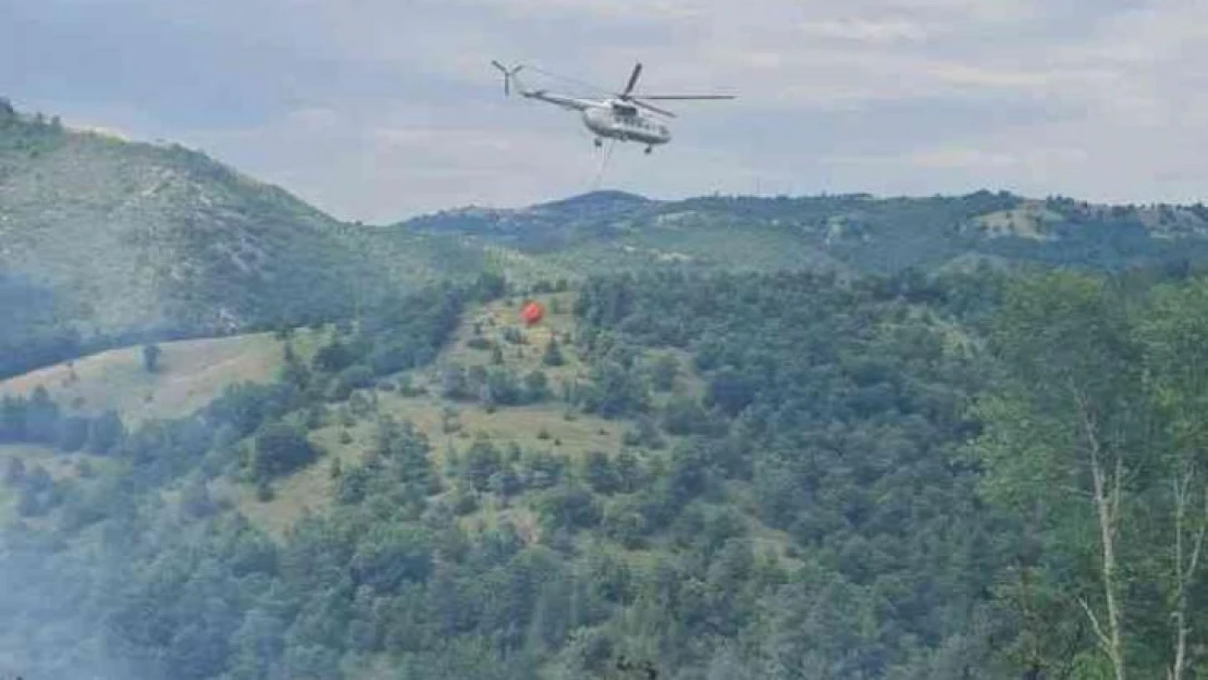 Çanakkale'deki orman yangını kontrol altında