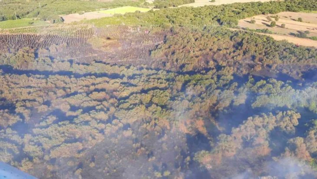 Çanakkale'deki orman yangını kontrol altına alındı