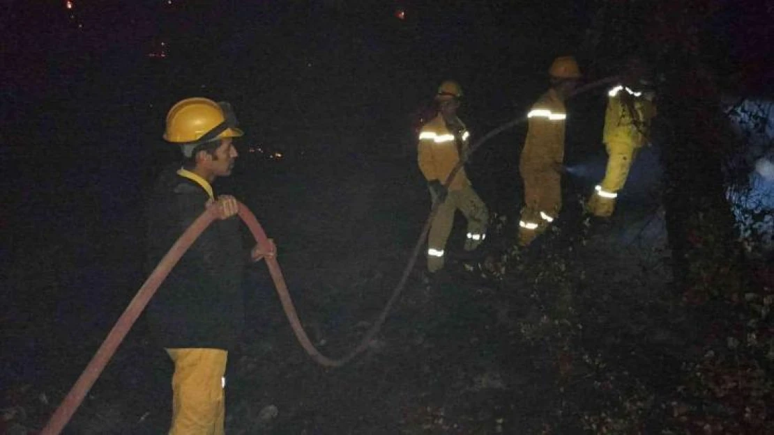 Canları pahasına alevlere müdahale ediyorlar