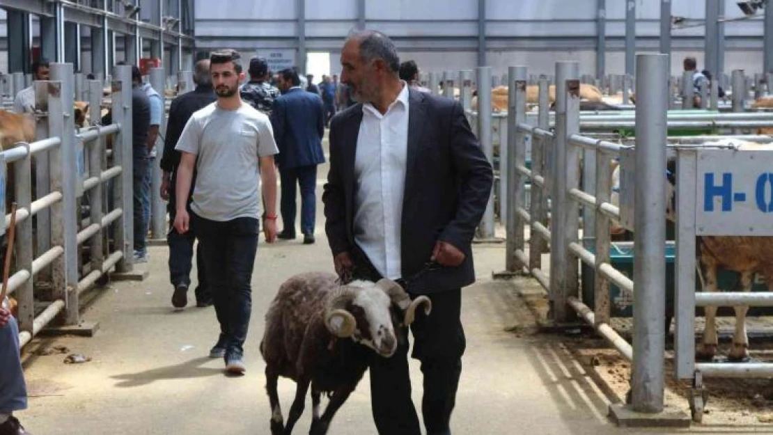 Canlı hayvan pazarında Kurban Bayramı öncesi yoğunluk arttı