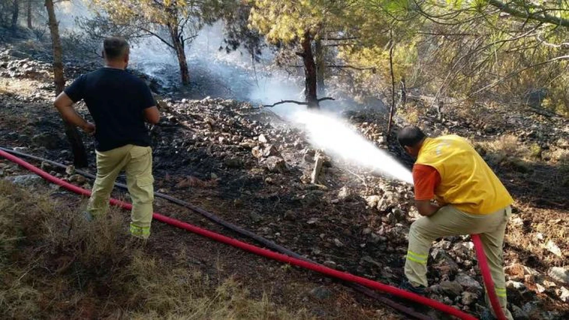 Çeşme'deki yangına müdahale sürüyor