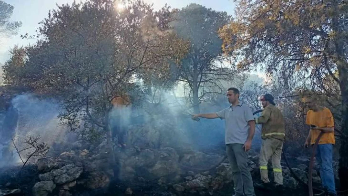 Çeşme yangını kontrol altında