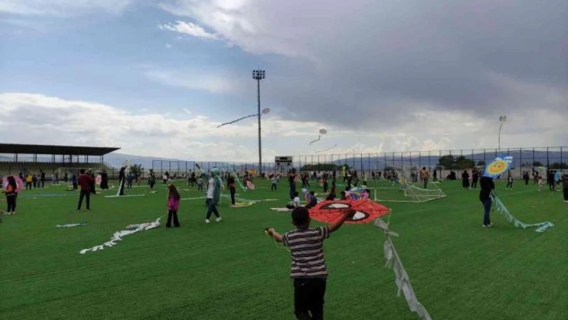 Çevre Haftası'nda uçurtmalar gökyüzünü süsledi