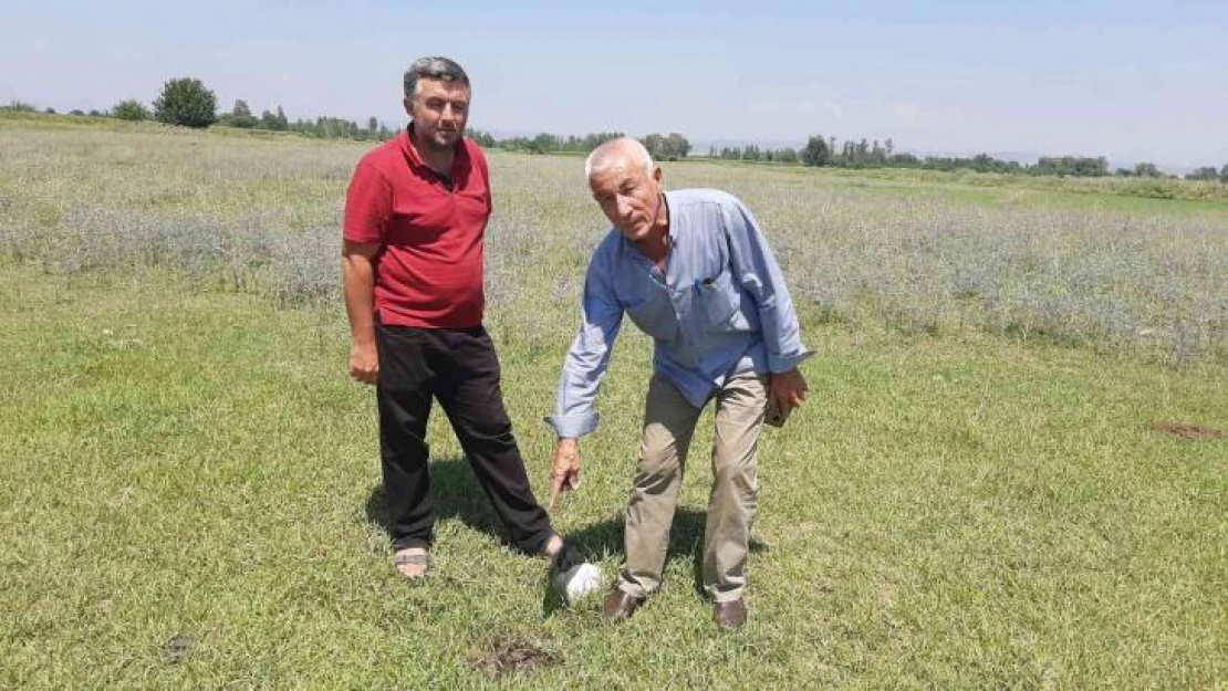 Ceyhan'daki kuyu ile aynı yıl kapatılan Kadirli'de petrol heyecanı