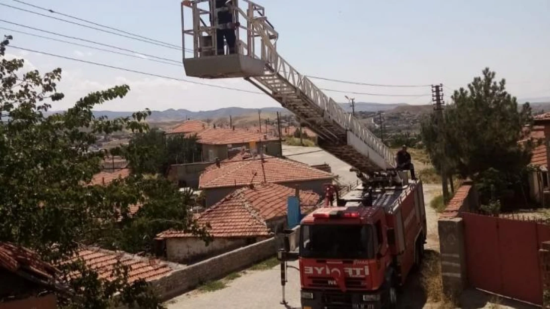 Çıktığı ağaçtan inemeyen kediyi itfaiye kurtardı