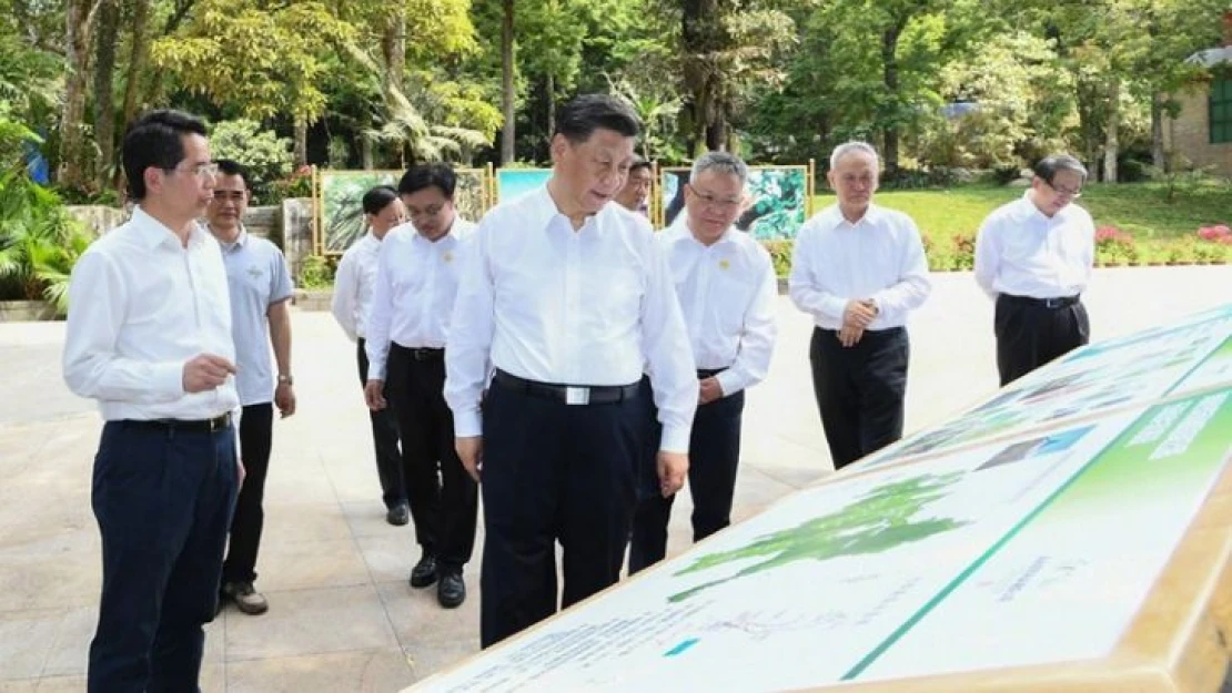 Çin Devlet Başkanı Jinping, Hainan Tropikal Yağmur Ormanları Ulusal Parkı'nı ziyaret etti