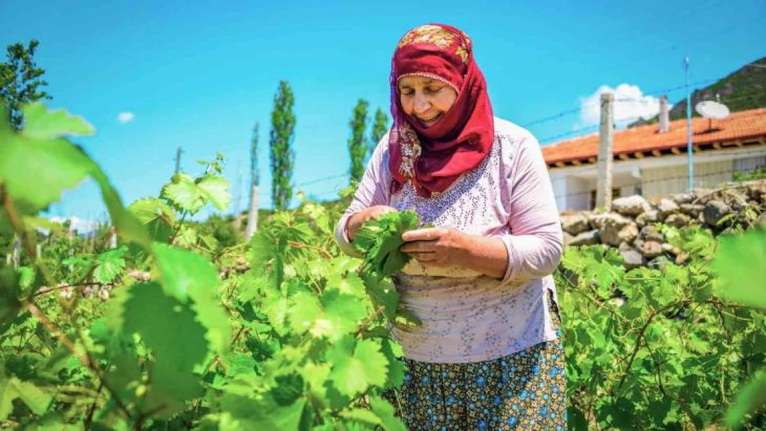 Coğrafi işaretli lezzet 400 milyon liralık girdi sağlayacak