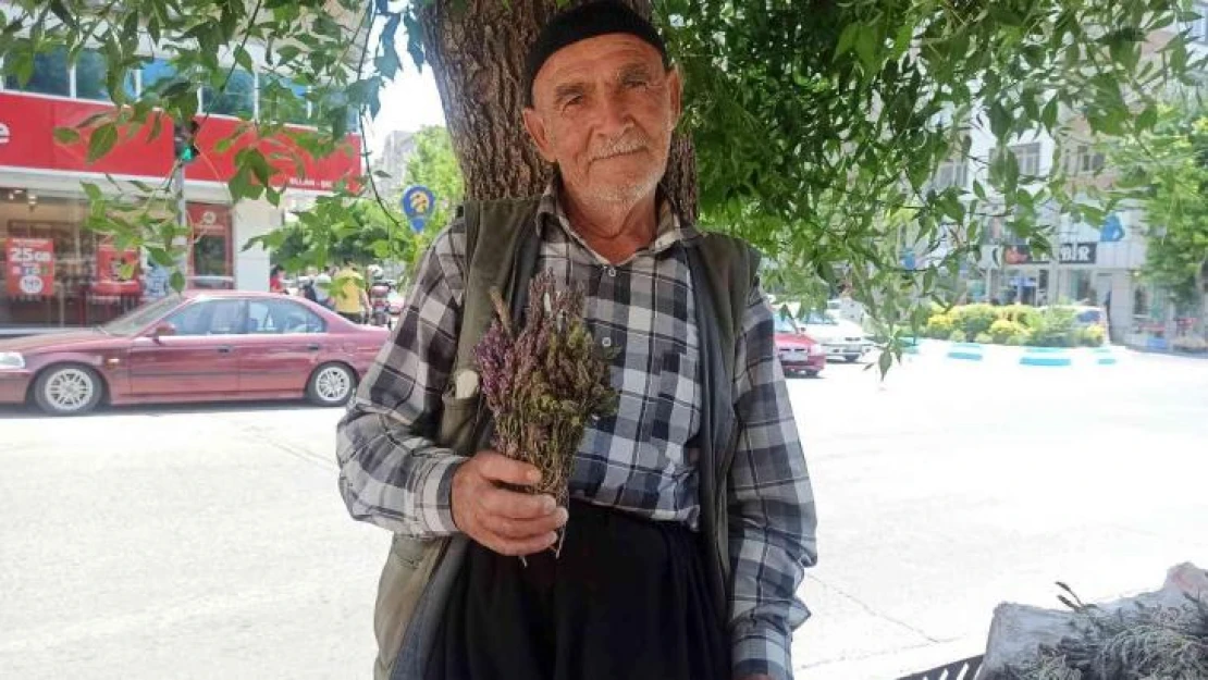 Dağlardan topladığı şifalı otlar geçim kaynağı oldu