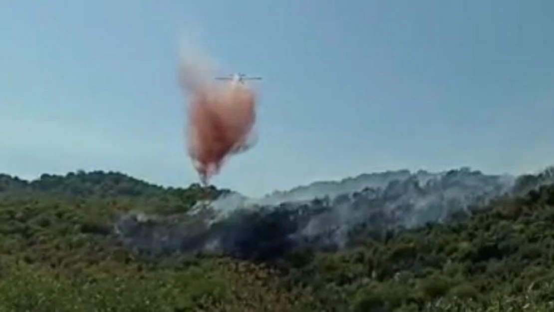 Demre'de makilik yangını korkuttu