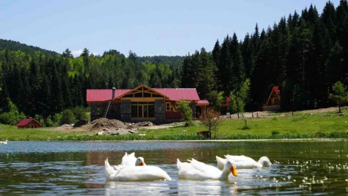 Doğa turizminin kalbi bu ilçede atacak