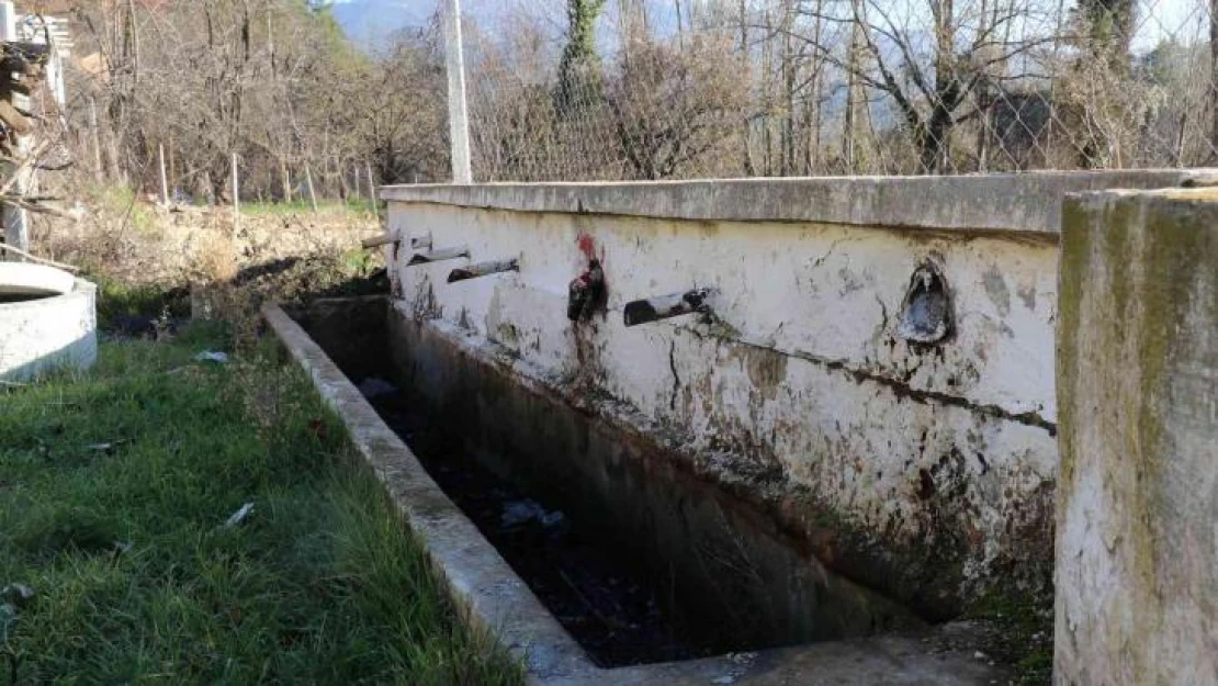 Doğal kaynak suları kuruyan mahalleli, 4 yıldır suyun geri gelmesini bekliyor