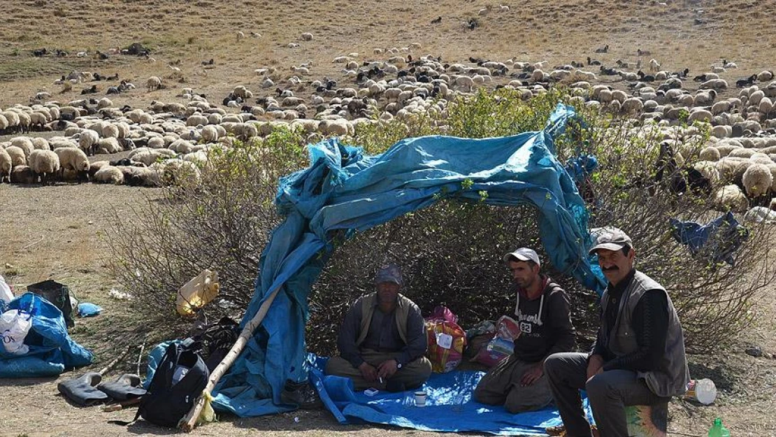 Doğuda çiftçilere 'terör' darbesi