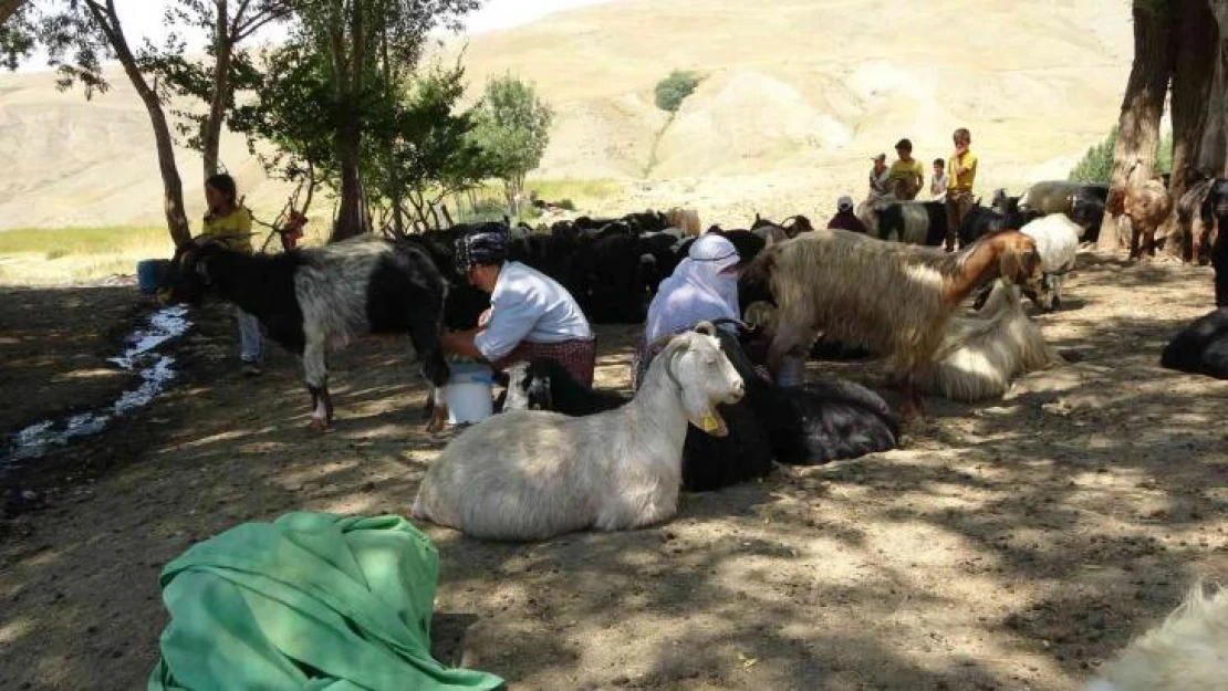 Doğulu kadınların zorlu yaşantısı