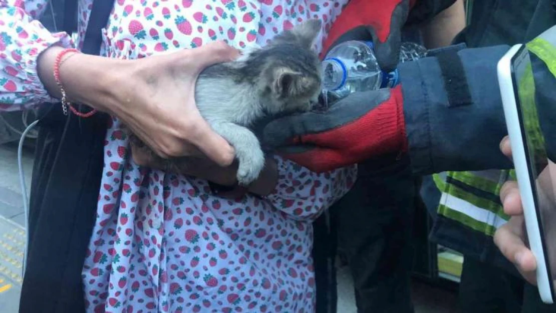 Duraktaki tramvayın altına kaçan kediyi itfaiye çıkarttı