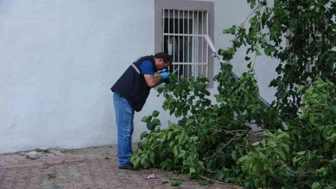 Dut toplamak için çıktığı ağaçtan düşen yaşlı adam yaşamını yitirdi