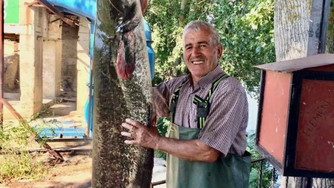 Edirne'de amatör balıkçı tam 40 kiloluk yayın balığı tuttu