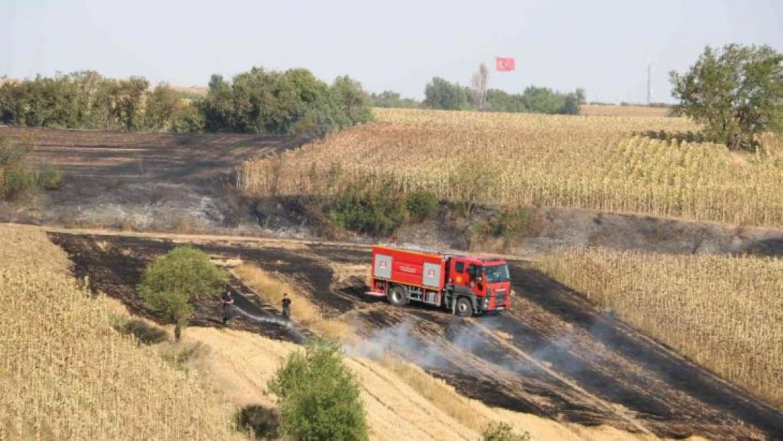 Edirne'de anız yangını