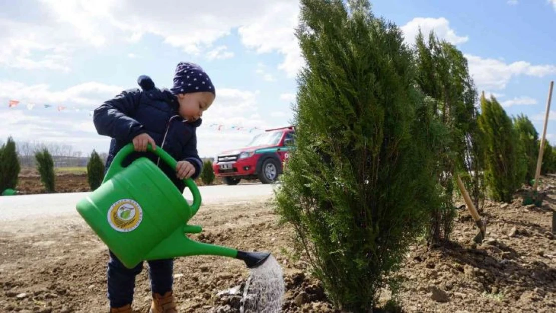 Edirne'de bu yıl hedef: 2 buçuk milyon fidan