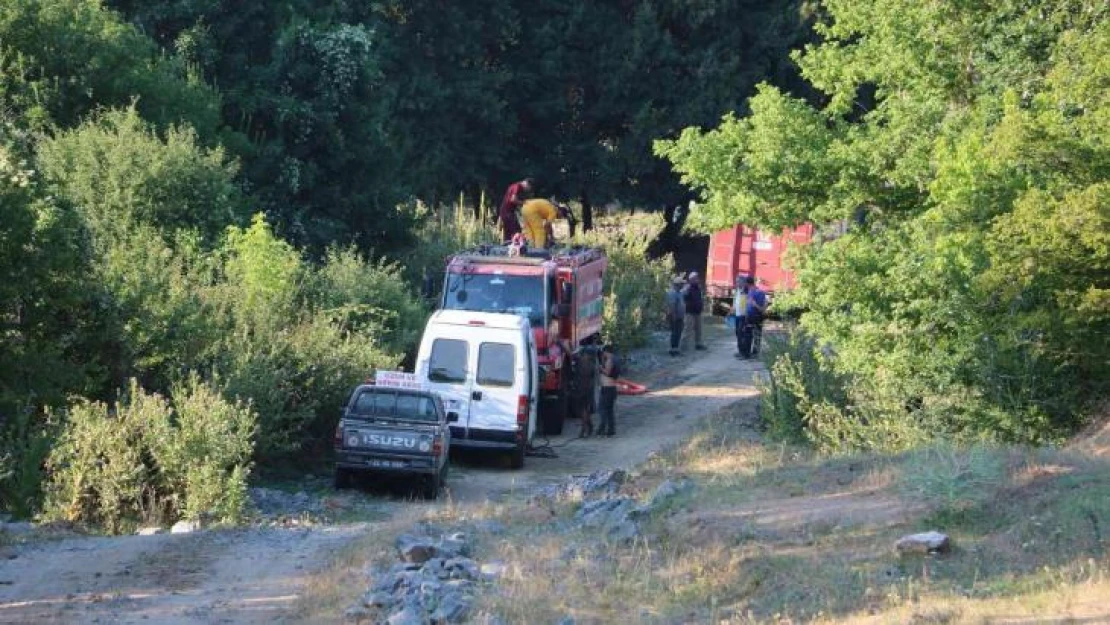 Edirne'de orman yangını kontrol altına alındı