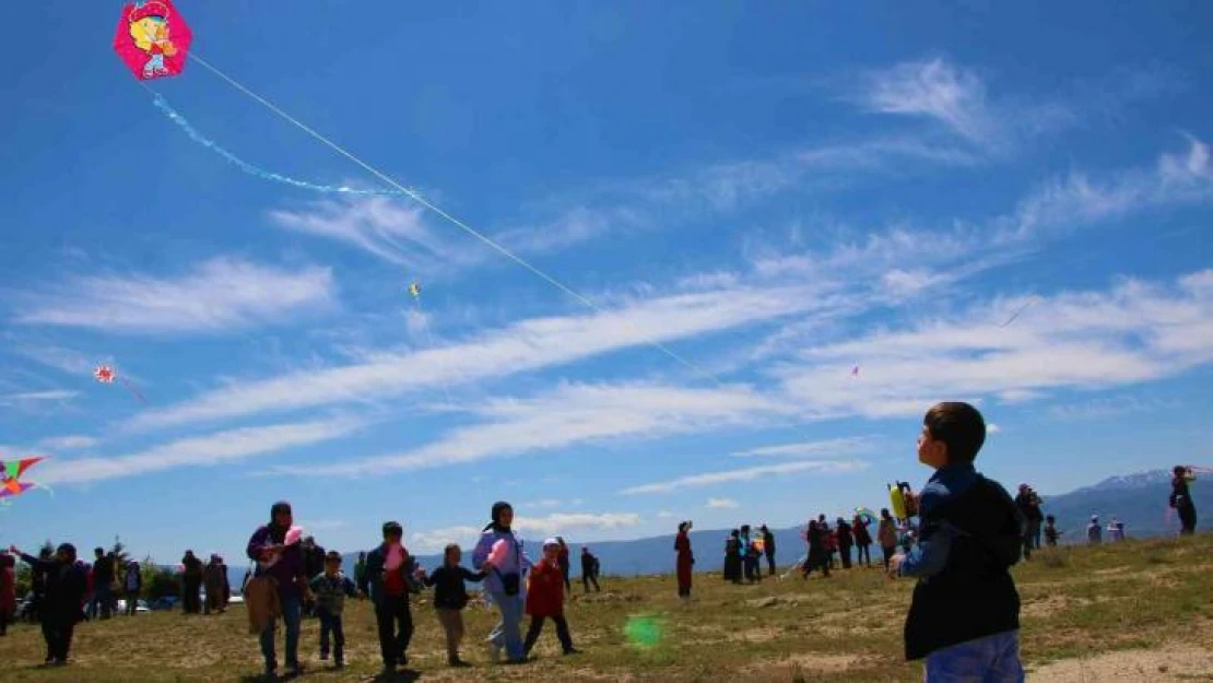 Elazığ'da 'Engelsiz Uçurtma Şenliği' renkli görüntülere sahne oldu