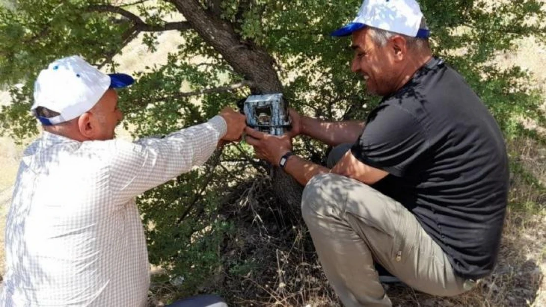 Elazığ'da fotokapanların bakımı yapıldı