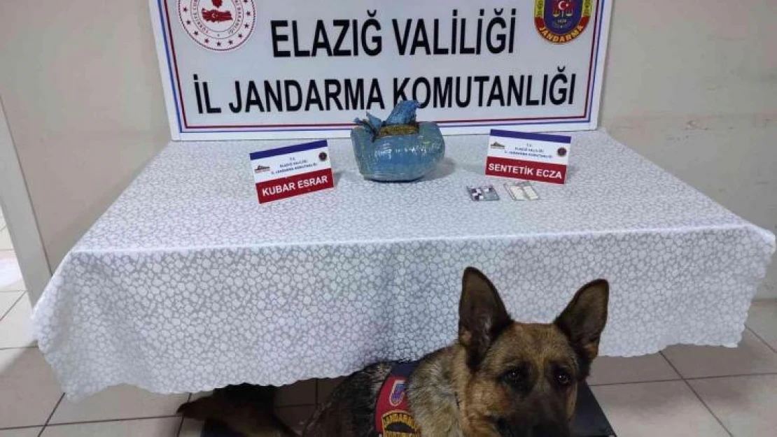 Elazığ'da uyuşturucu operasyonu: 1 gözaltı