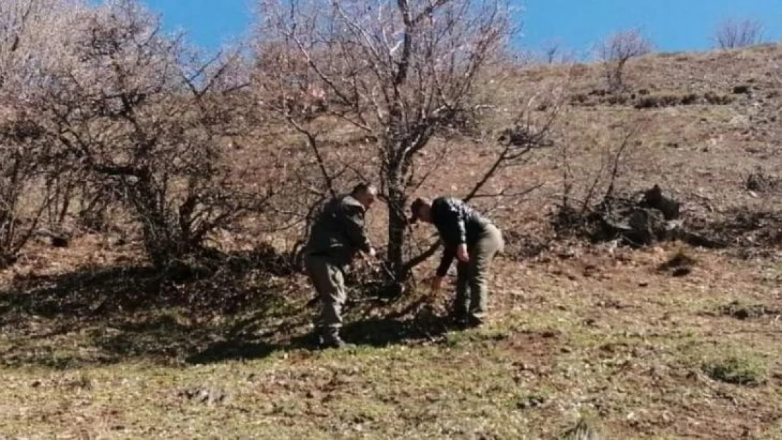 Elazığ'da yaban hayatı ve kaçak avcılar, fotokapanlarla tespit ediliyor