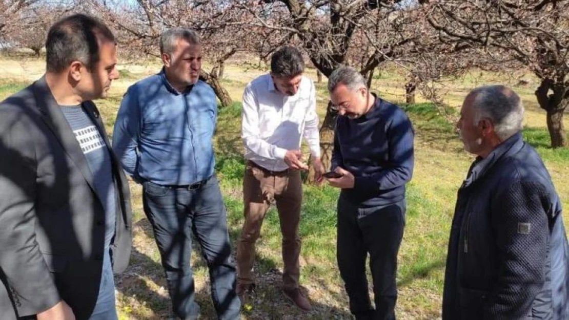 Elazığ'da zirai don nedeniyle hasar tespit çalışmaları başladı