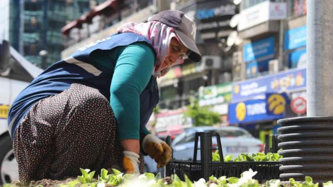 Elazığ, kadın eliyle güzelleşiyor