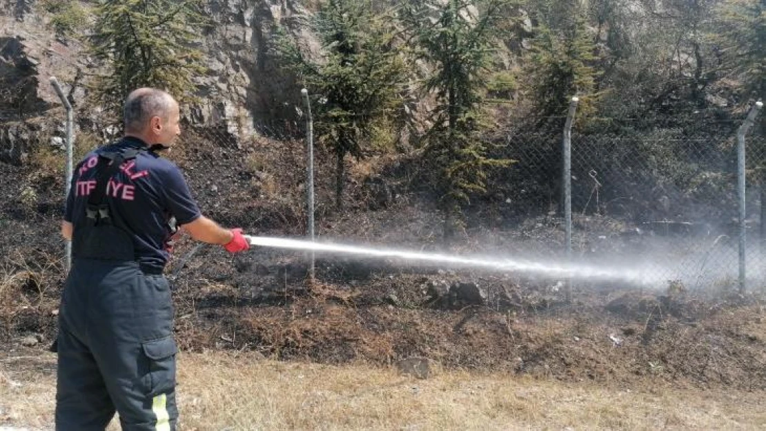 Elektrik akımına kapılan güvercin ağaçlık alanda yangın çıkardı