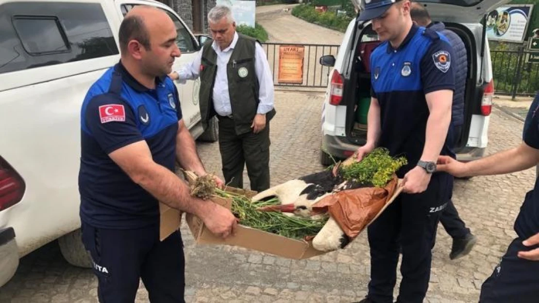 Elektrik akımına kapılan leylek için ekipler seferber oldu