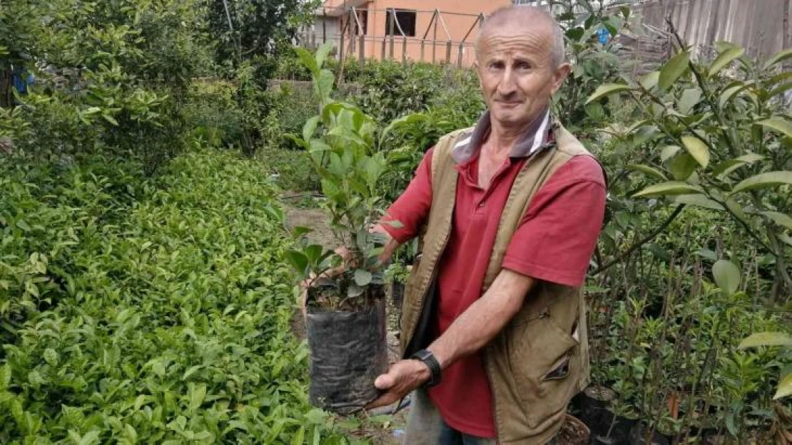 Emekli olduktan sonra hobi olarak başladığı fidan yetiştiriciliği mesleği oldu