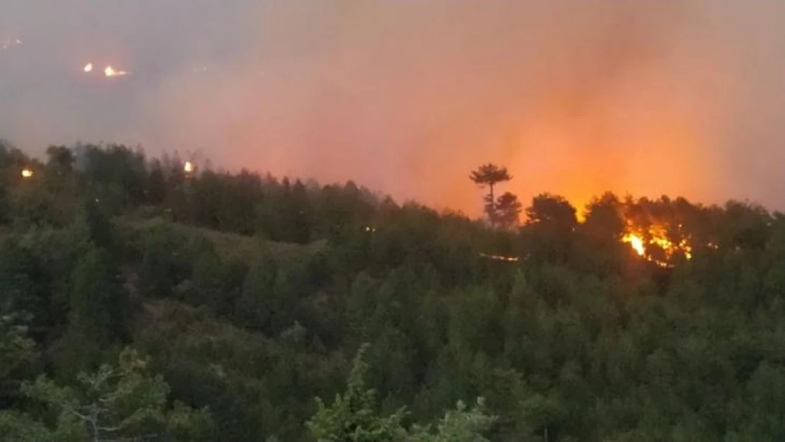 Emet'te orman yangını büyüyerek devam ediyor