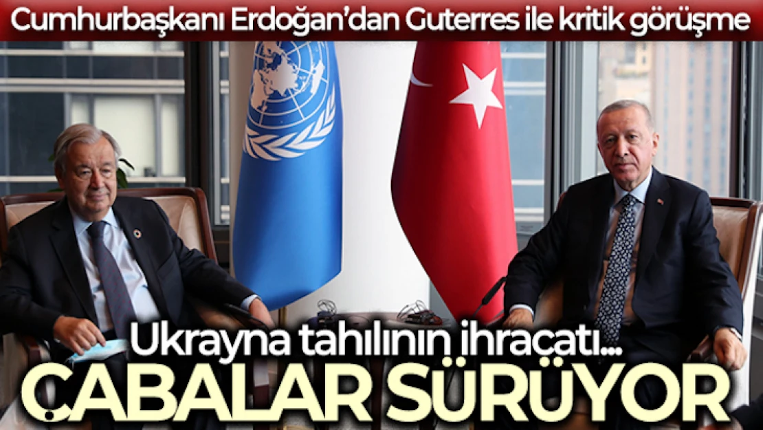 Erdoğan BM Genel Sekreteri Guterres ile küresel gıda krizinin çözümünü görüştü