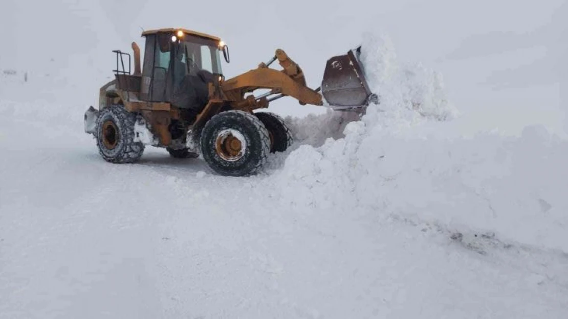 Erzurum'da 325 mahalleye ulaşım sağlanamıyor